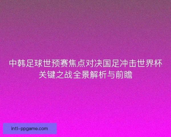 中韩足球世预赛焦点对决国足冲击世界杯关键之战全景解析与前瞻